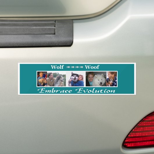 Embrace Evolution Bumpersticker (Op auto)