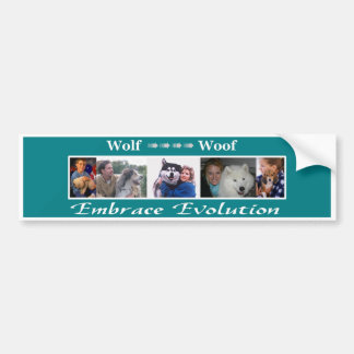 Embrace Evolution Bumpersticker