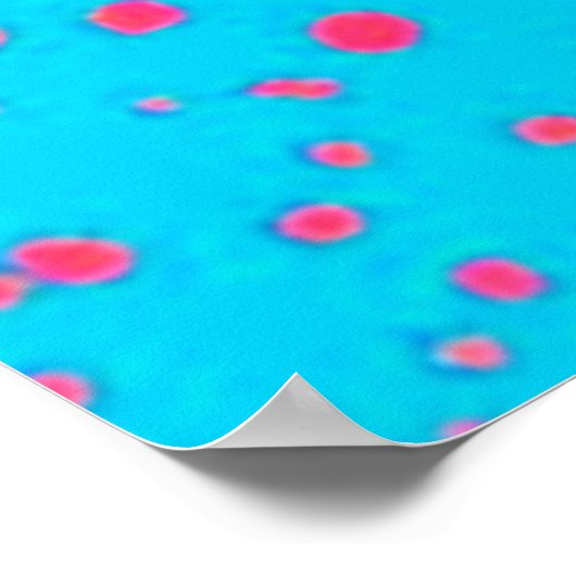 Embrace Inner Peace & Joy Poster (Hoek)