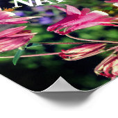 Embrace Natuur Columbine Flowers Inspirerend Poster (Hoek)