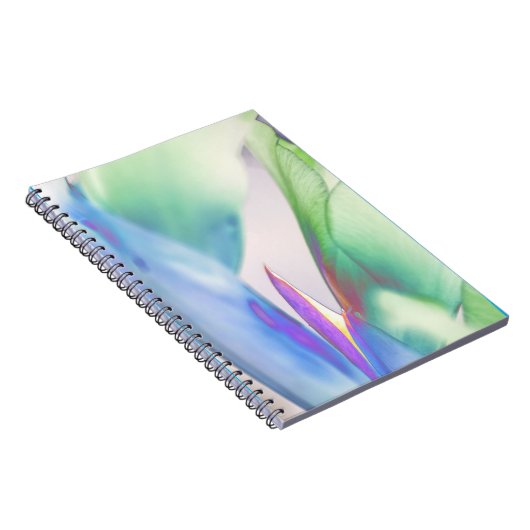 "Embracing Solitude" Notitieboek voor wervelontwer (Rechterzijde)