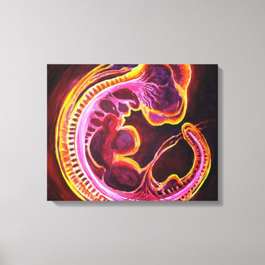 Embryo Canvas Afdruk (Voorkant)