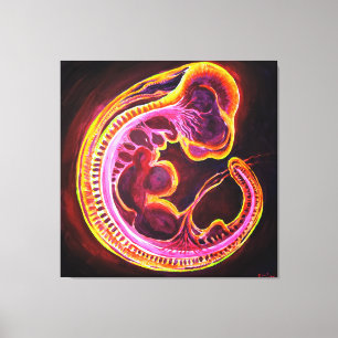 Embryo Canvas Afdruk