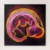 Embryo Legpuzzel (Horizontaal)