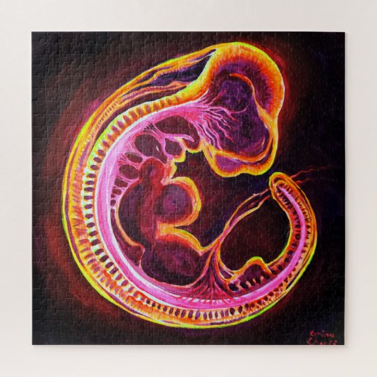 Embryo Legpuzzel (Verticaal)
