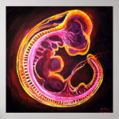 Embryo Poster (Voorkant)
