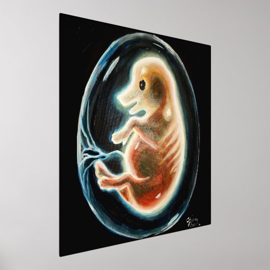 Embryo van varkens folie afdrukken (Laagn)