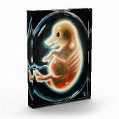 Embryo van varkens fotoblokken (Links)