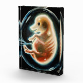 Embryo van varkens fotoblokken (Rechts)