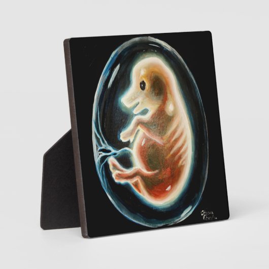 Embryo van varkens fotoplaat (Voorkant)