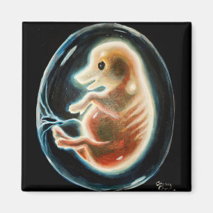 Embryo van varkens magneet
