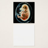 Embryo van varkens vierkante visitekaartjes (Voorkant /achterkant)