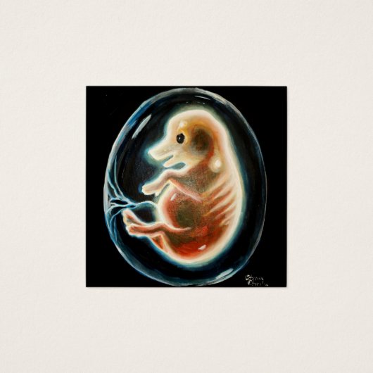 Embryo van varkens vierkante visitekaartjes (Voorkant)