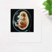 Embryo van varkens vierkante visitekaartjes (Bureau)