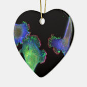 embryonale fibroblasten van de muis keramisch ornament (Links)