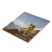 EMD VAN HET SPOOR TEGELTJE (Zijkant)