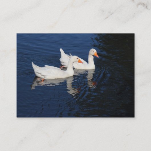 Emden Geese Visitekaartje (Voorkant)