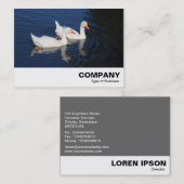 Emden Geese Visitekaartje (Voorkant / Achterkant)