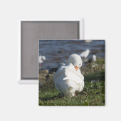Emden Goose Magneet (Voorkant / Achterkant)