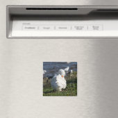 Emden Goose Magneet (Insitu (Vaatwasser))