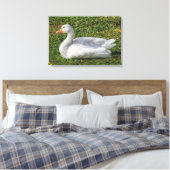 Emden Goose, Roath Park Lake, Cardiff, Wales. Canvas Afdruk (Insitu (Slaapkamer))