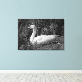 Emder gans canvas afdruk (Insitu (Houten vloer))