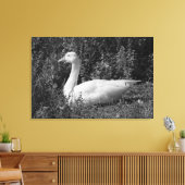 Emder gans canvas afdruk (Insitu (Woonkamer))
