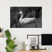 Emder gans poster (Thuiskantoor)
