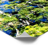 EMERALD BAY AT LAKE TAHOE POSTER (Hoek)