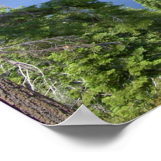 Emerald Bay Vikingsholm Castle Collectie POSTER (Hoek)