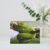 Emerald Boa Briefkaart (Staand voorkant)