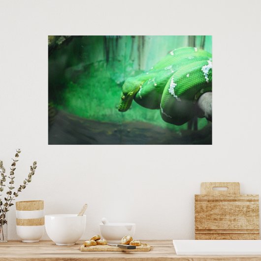 Emerald Boa Poster (Keuken)