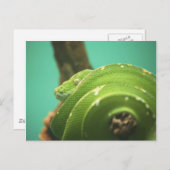 Emerald Briefkaart (Voorkant / Achterkant)