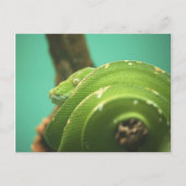 Emerald Briefkaart (Voorkant)