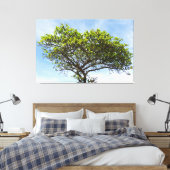Emerald Canopy: The Coastal Almond Tree Canvas Afdruk (Insitu (Slaapkamer))