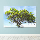Emerald Canopy: The Coastal Almond Tree Canvas Afdruk (Insitu (Houten vloer))