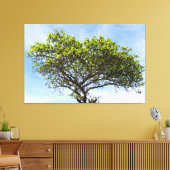 Emerald Canopy: The Coastal Almond Tree Canvas Afdruk (Insitu (Woonkamer))