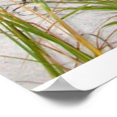 Emerald Coast, FL Poster (Hoek)