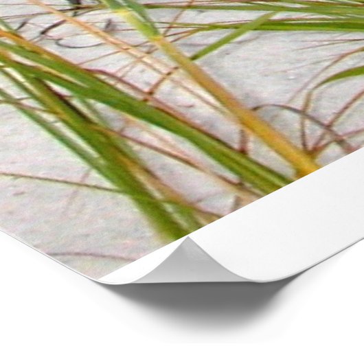 Emerald Coast, FL Poster (Hoek)