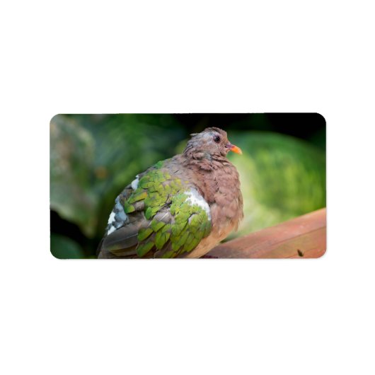 Emerald Dove Profile and Perch Etiket (Voorkant)