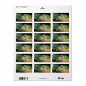 Emerald Dove Profile and Perch Etiket (Full Sheet)