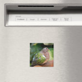 Emerald Dove Profile and Perch Magneet (Insitu (Vaatwasser))