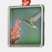 Emerald, Elvira cupreiceps, met koppen, Metalen Ornament (Links)