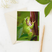 Emerald Embrace Briefkaart