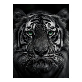 Emerald-Eyed Tiger Portrait - Black and White Perfect Poster