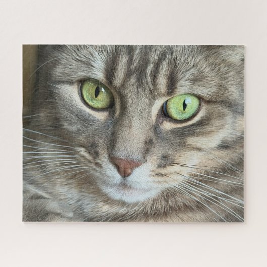Emerald Eyes – Portrait of a Green-Eyed Cat Legpuzzel (Horizontaal)