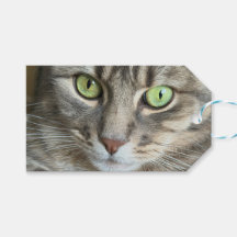 Emerald Eyes – Portret van een kat met groene ogen