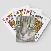 Emerald Eyes – Portret van een kat met groene ogen