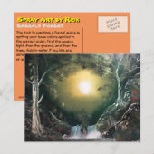 Emerald Forest Briefkaart (Voorkant / Achterkant)