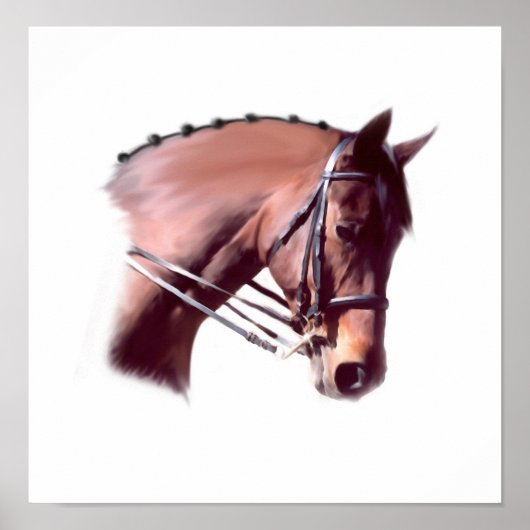 Emerald-Glen Houdini Poster (Voorkant)